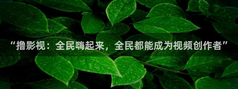 奉节保利万和影院今日影片：“撸影视：全民嗨起来，全民都能成为视频创作者”