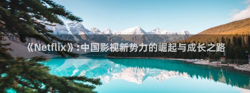 北京保利国际影城今日影讯：《Netflix》:中国影视新势力的崛起与成长之路