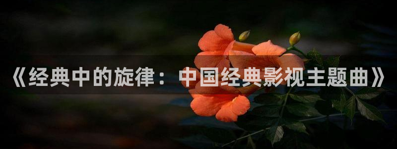 江豪广场保利万和国际影院：《经典中的旋律：中国经典影视主题曲》