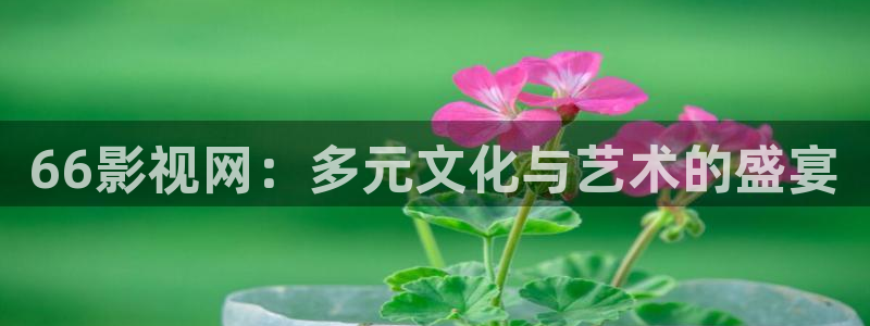 保利国际影城官网：66影视网：多元文化与艺术的盛宴